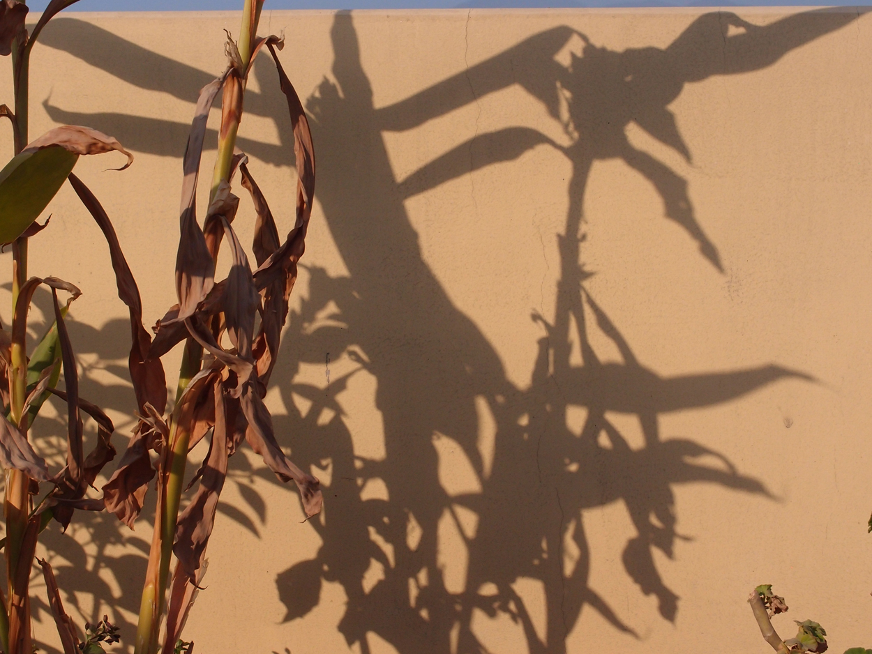 2018-01-20 15 Uhr - The Boudha Inn, Auf'm Dach (Audio, Foto, Video) 